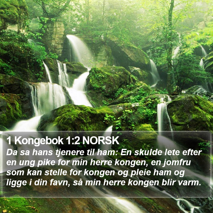 1 Kongebok 1:2 NORSK Bible Study