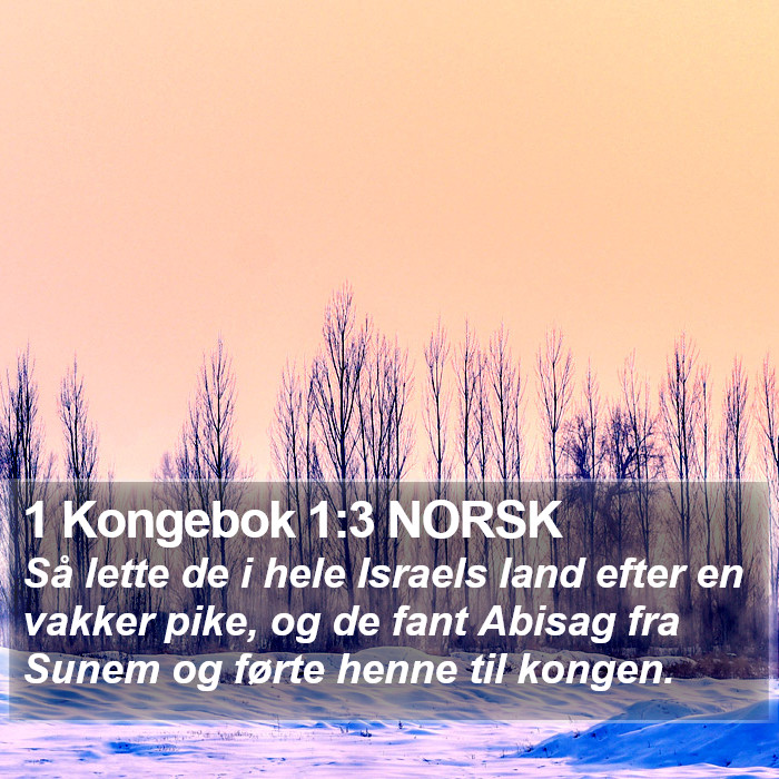 1 Kongebok 1:3 NORSK Bible Study