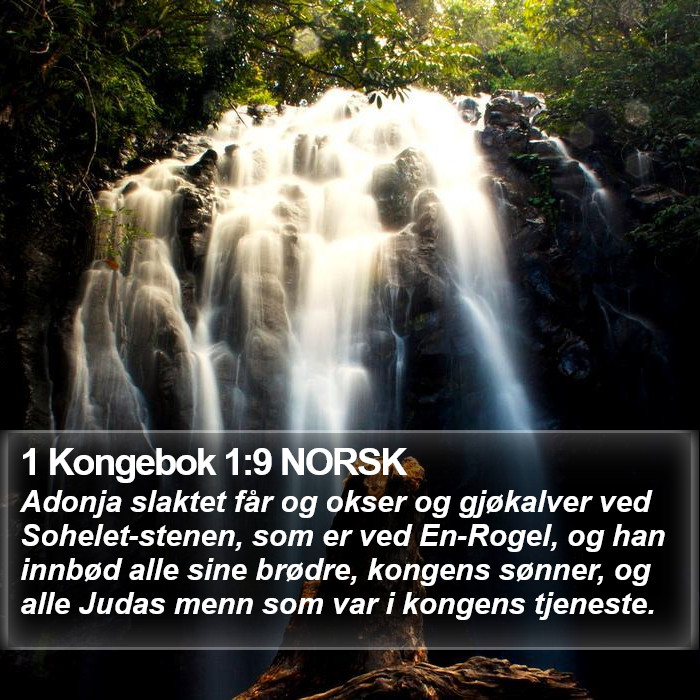 1 Kongebok 1:9 NORSK Bible Study