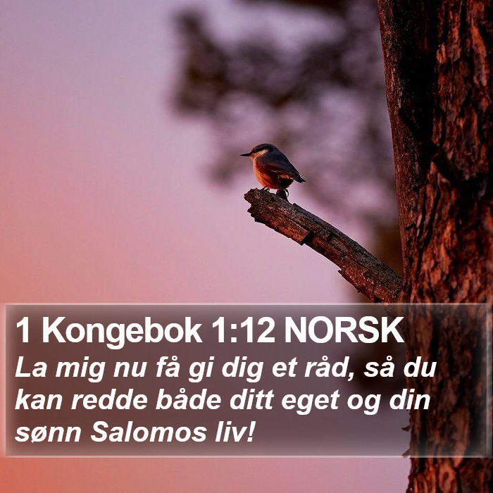 1 Kongebok 1:12 NORSK Bible Study