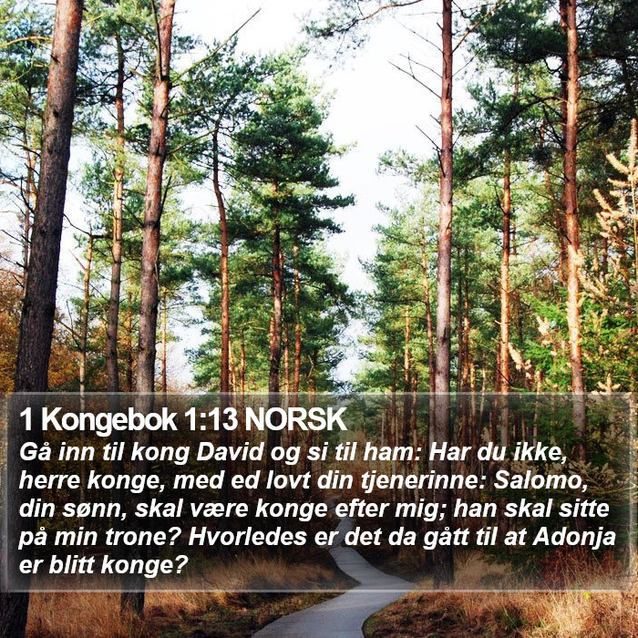 1 Kongebok 1:13 NORSK Bible Study