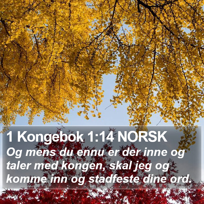 1 Kongebok 1:14 NORSK Bible Study