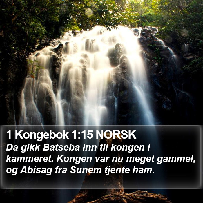 1 Kongebok 1:15 NORSK Bible Study