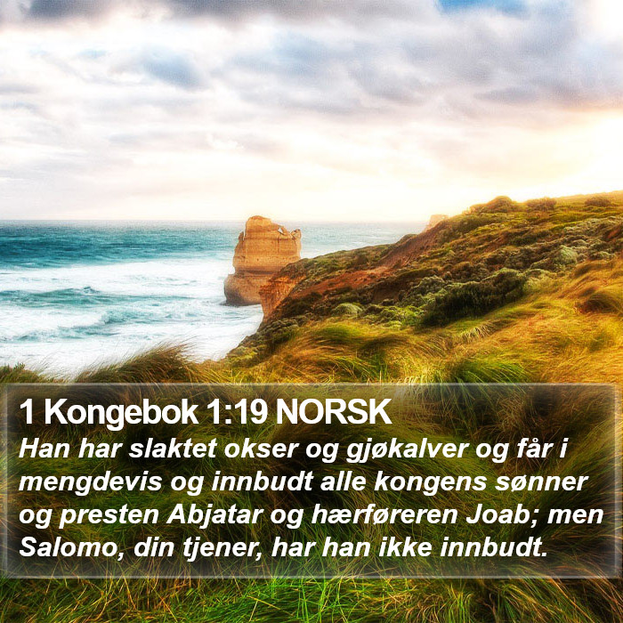 1 Kongebok 1:19 NORSK Bible Study