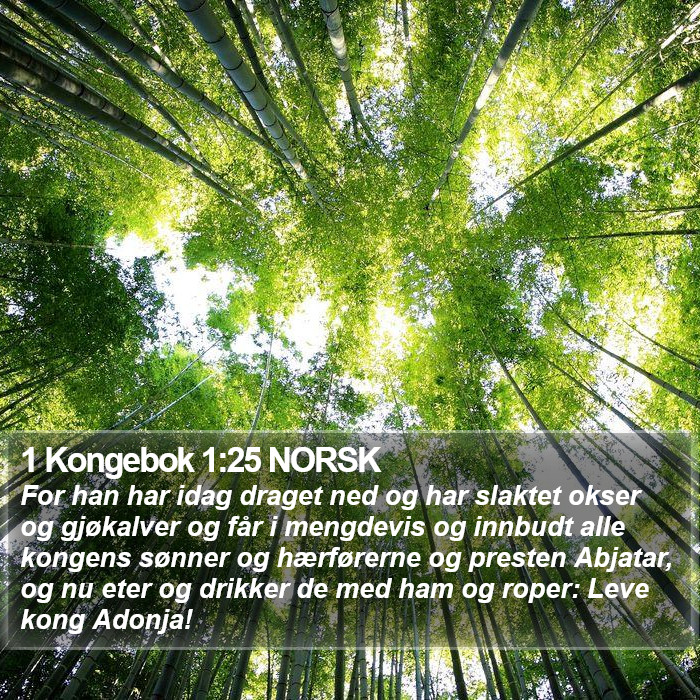 1 Kongebok 1:25 NORSK Bible Study