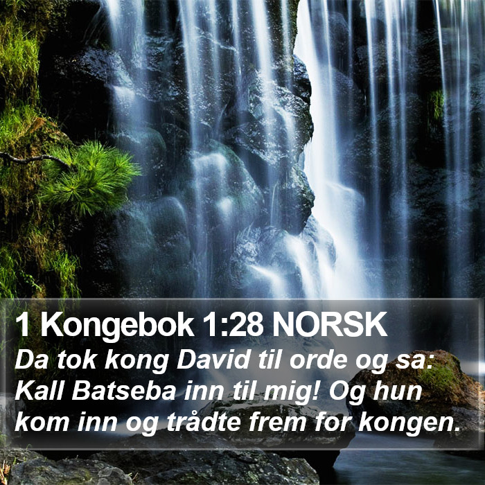 1 Kongebok 1:28 NORSK Bible Study