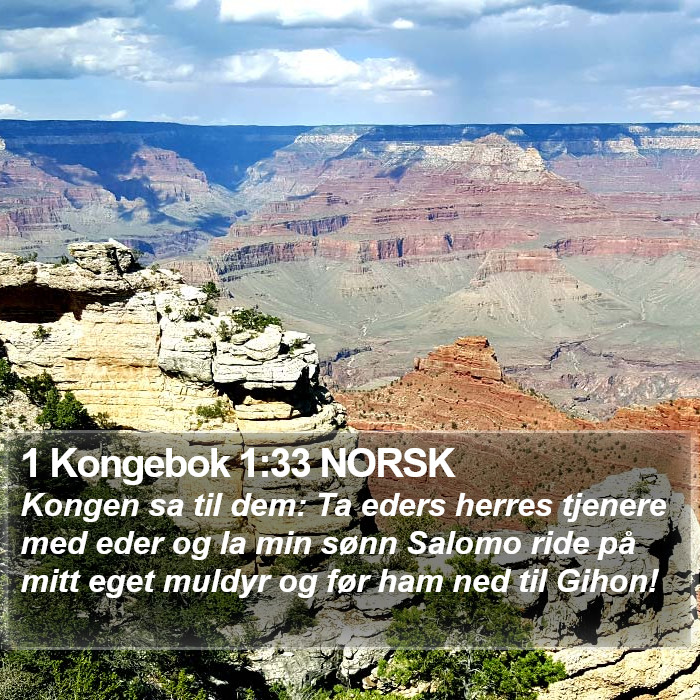 1 Kongebok 1:33 NORSK Bible Study