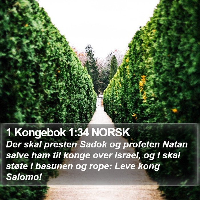 1 Kongebok 1:34 NORSK Bible Study