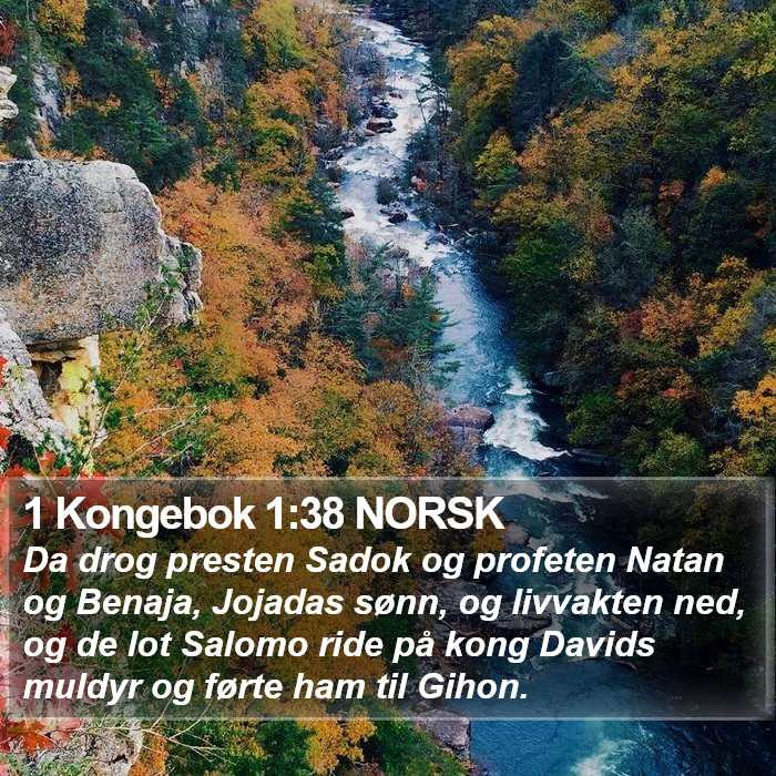 1 Kongebok 1:38 NORSK Bible Study