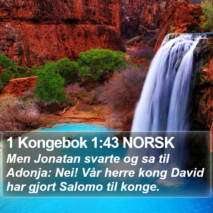 1 Kongebok 1:43 NORSK Bible Study