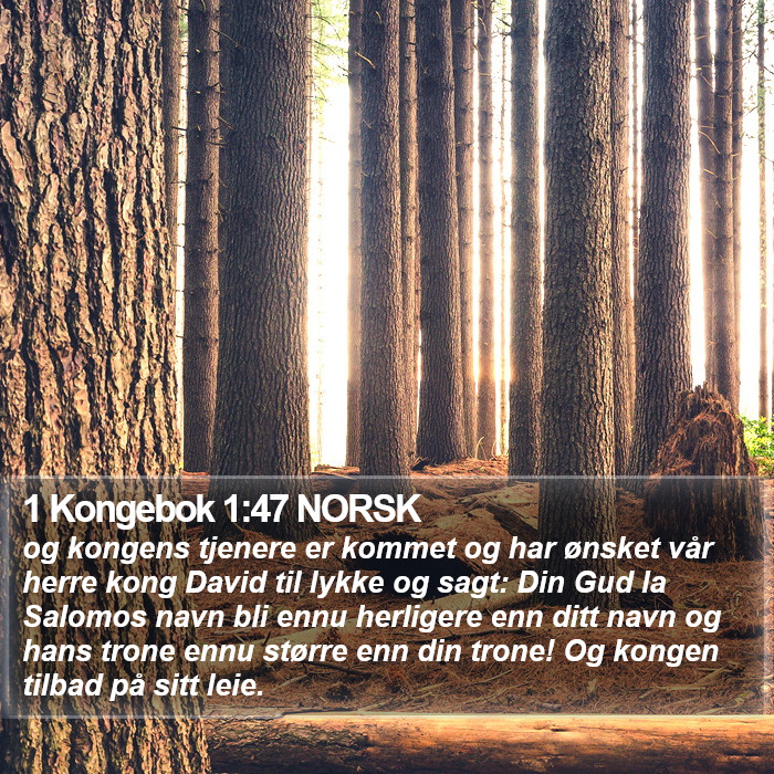 1 Kongebok 1:47 NORSK Bible Study