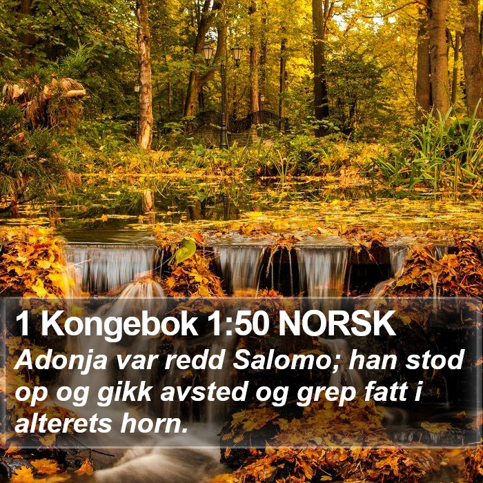 1 Kongebok 1:50 NORSK Bible Study