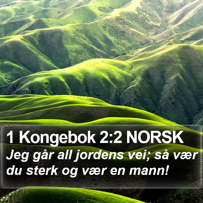 1 Kongebok 2:2 NORSK Bible Study