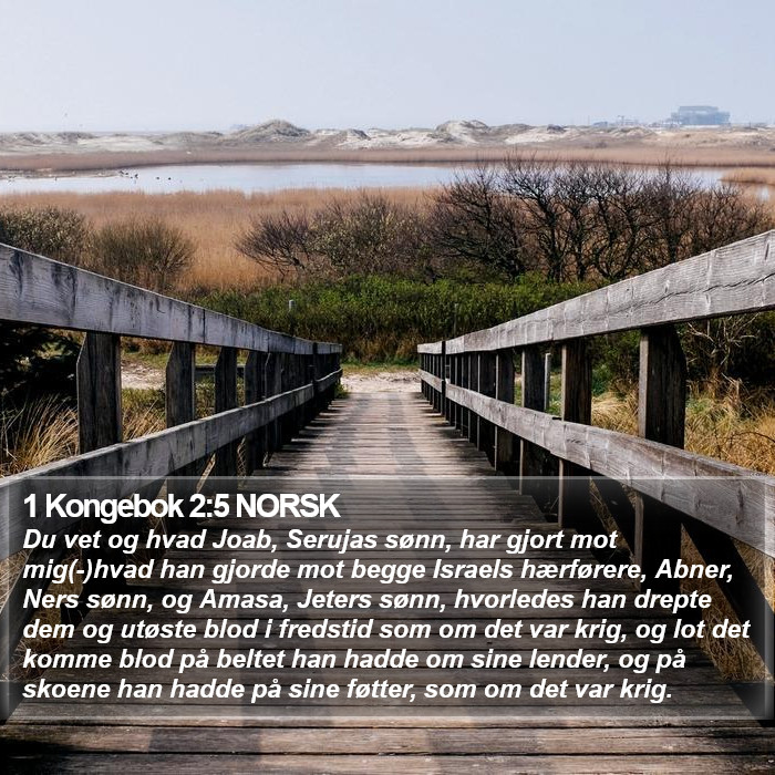 1 Kongebok 2:5 NORSK Bible Study