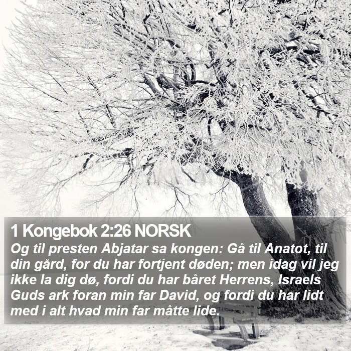 1 Kongebok 2:26 NORSK Bible Study