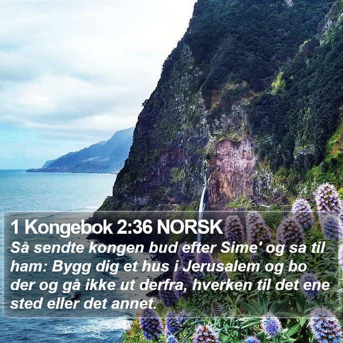 1 Kongebok 2:36 NORSK Bible Study