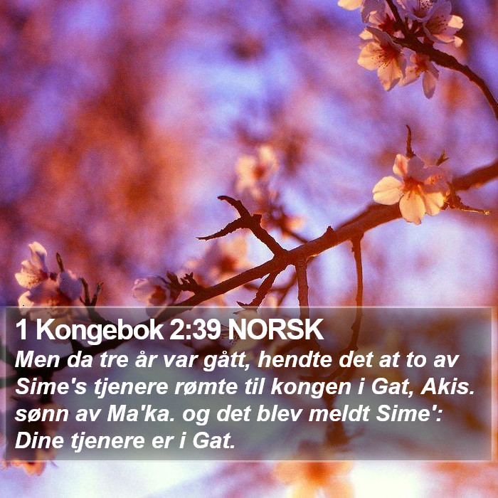 1 Kongebok 2:39 NORSK Bible Study
