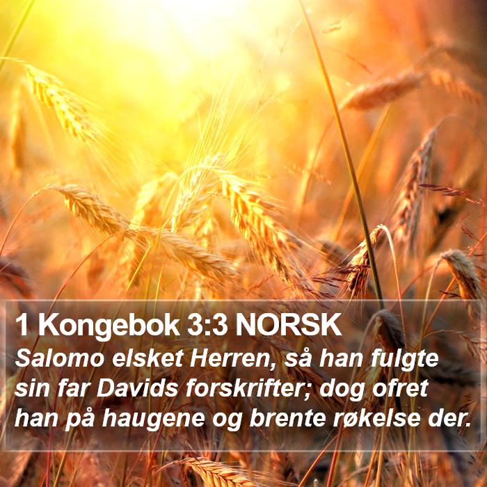 1 Kongebok 3:3 NORSK Bible Study