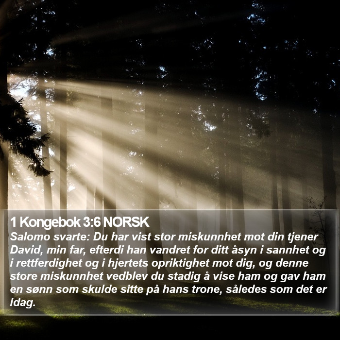 1 Kongebok 3:6 NORSK Bible Study