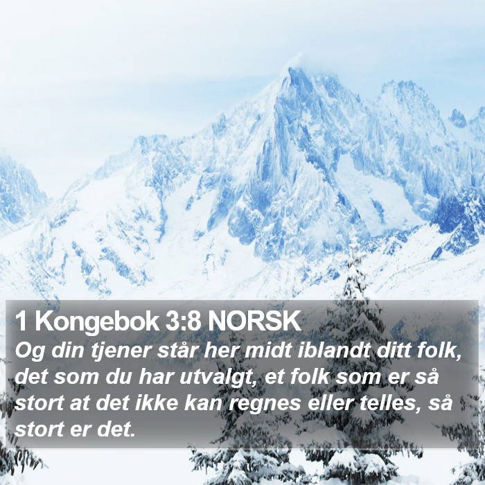 1 Kongebok 3:8 NORSK Bible Study
