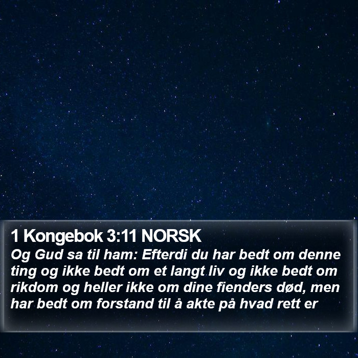 1 Kongebok 3:11 NORSK Bible Study
