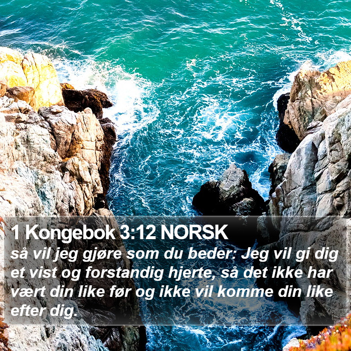 1 Kongebok 3:12 NORSK Bible Study