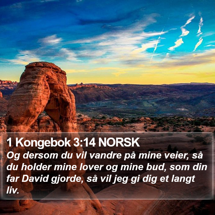 1 Kongebok 3:14 NORSK Bible Study
