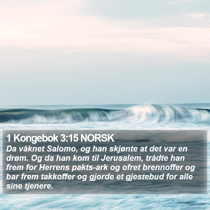 1 Kongebok 3:15 NORSK Bible Study