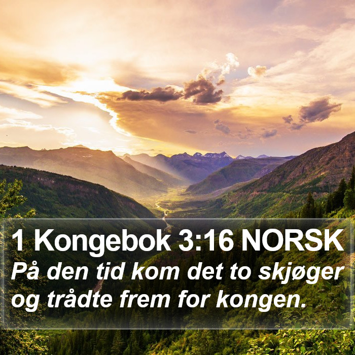 1 Kongebok 3:16 NORSK Bible Study