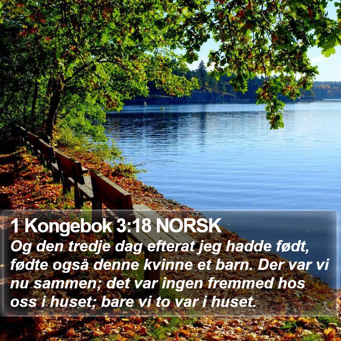 1 Kongebok 3:18 NORSK Bible Study
