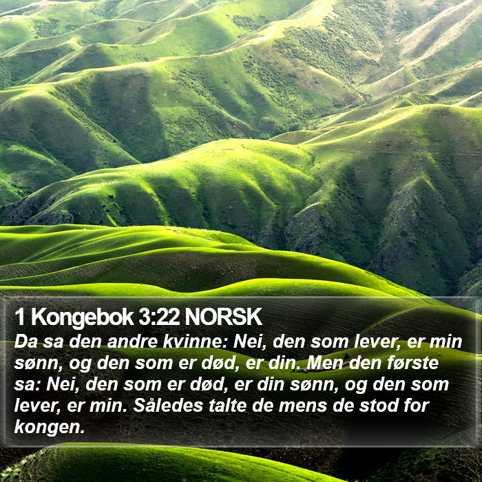 1 Kongebok 3:22 NORSK Bible Study