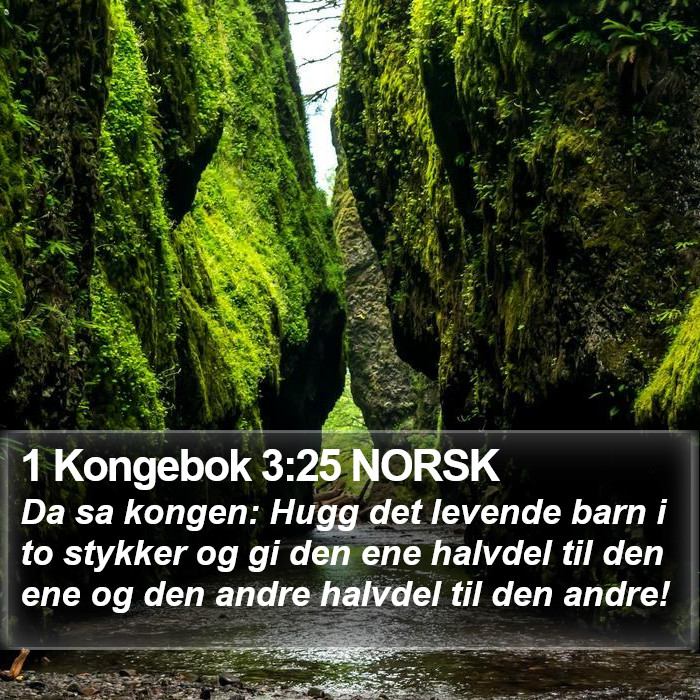 1 Kongebok 3:25 NORSK Bible Study