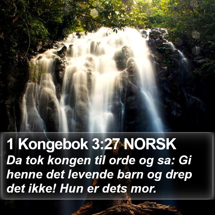 1 Kongebok 3:27 NORSK Bible Study