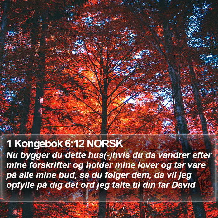 1 Kongebok 6:12 NORSK Bible Study