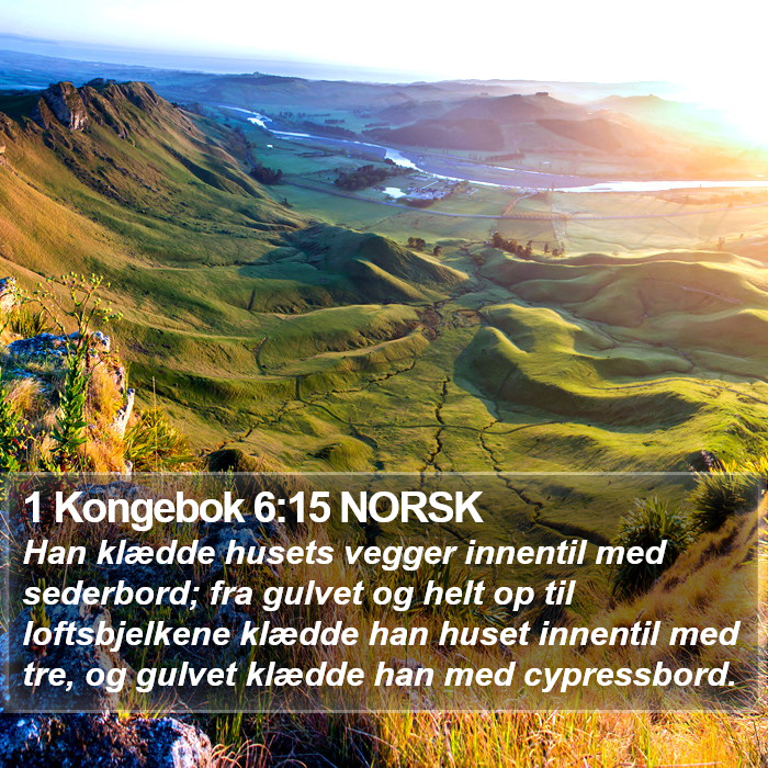 1 Kongebok 6:15 NORSK Bible Study