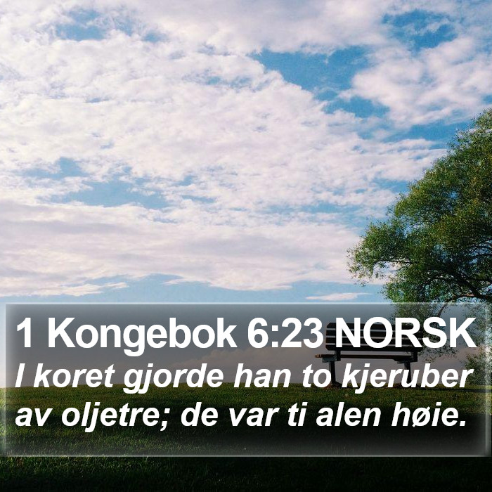 1 Kongebok 6:23 NORSK Bible Study