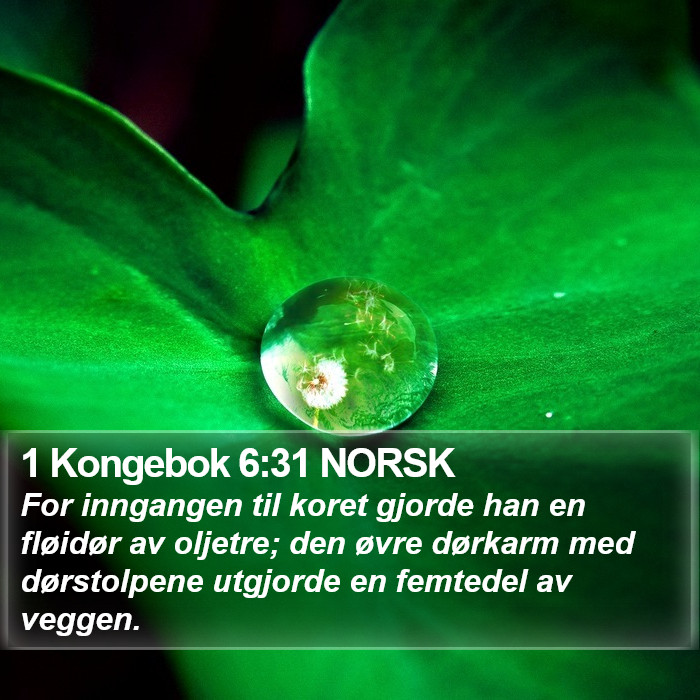 1 Kongebok 6:31 NORSK Bible Study