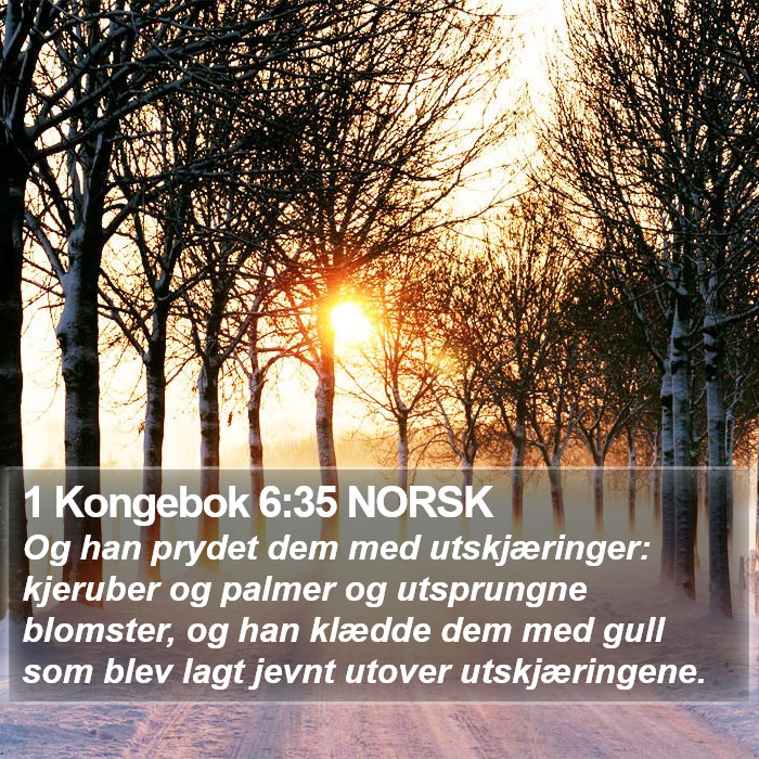 1 Kongebok 6:35 NORSK Bible Study