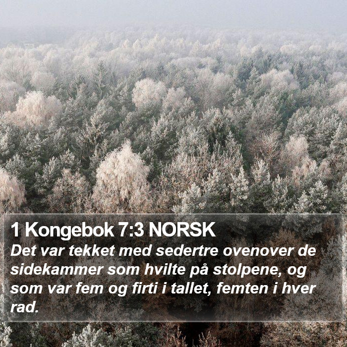 1 Kongebok 7:3 NORSK Bible Study