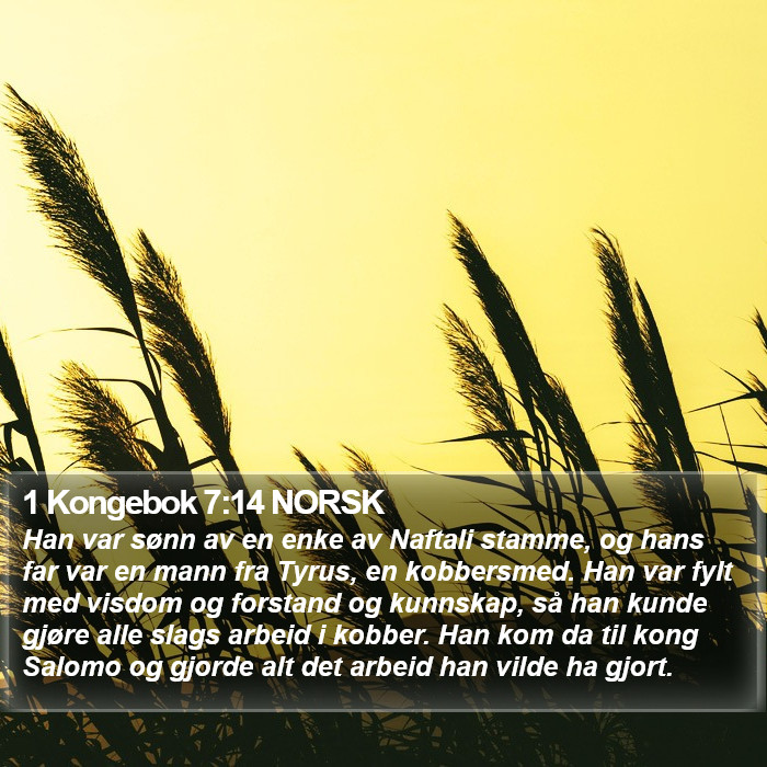1 Kongebok 7:14 NORSK Bible Study