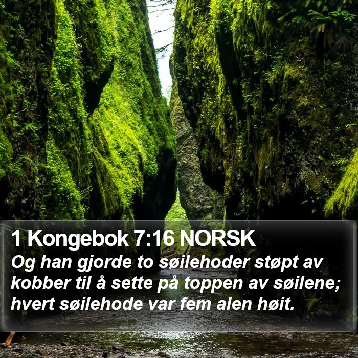 1 Kongebok 7:16 NORSK Bible Study