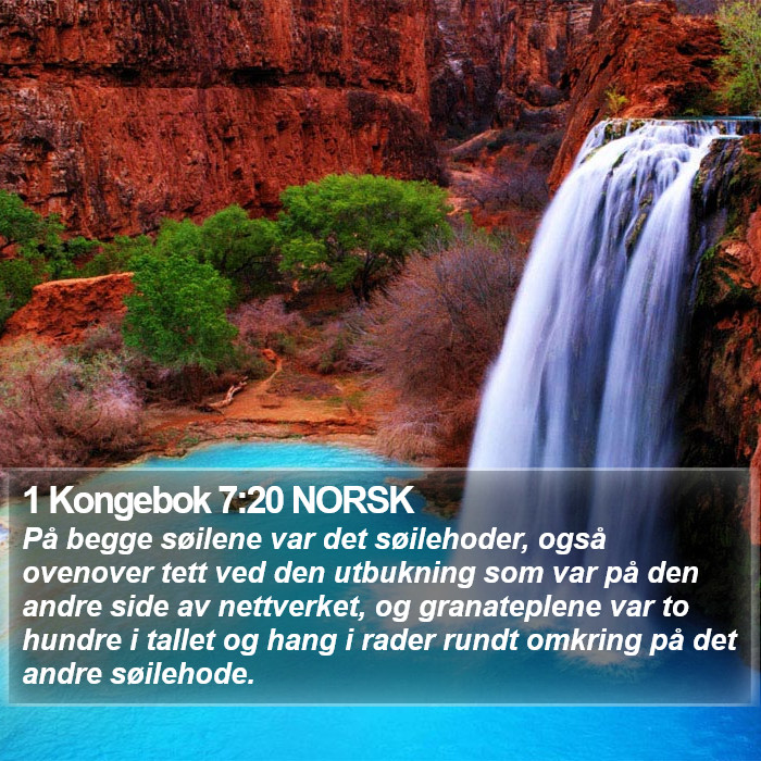 1 Kongebok 7:20 NORSK Bible Study