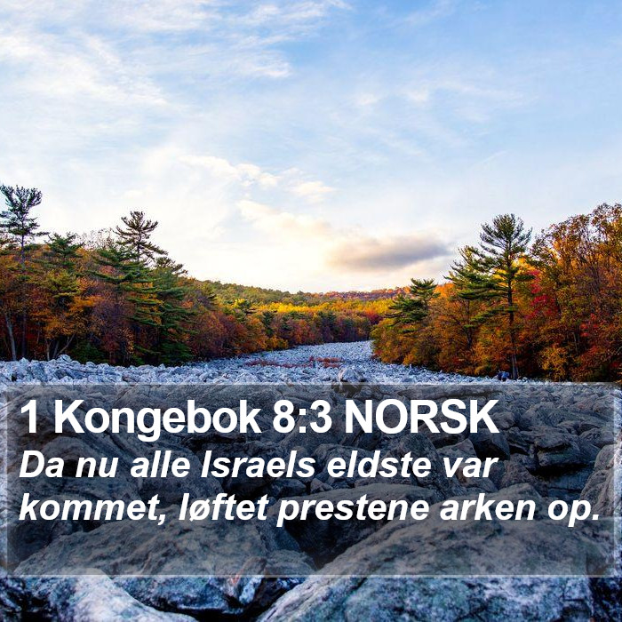 1 Kongebok 8:3 NORSK Bible Study