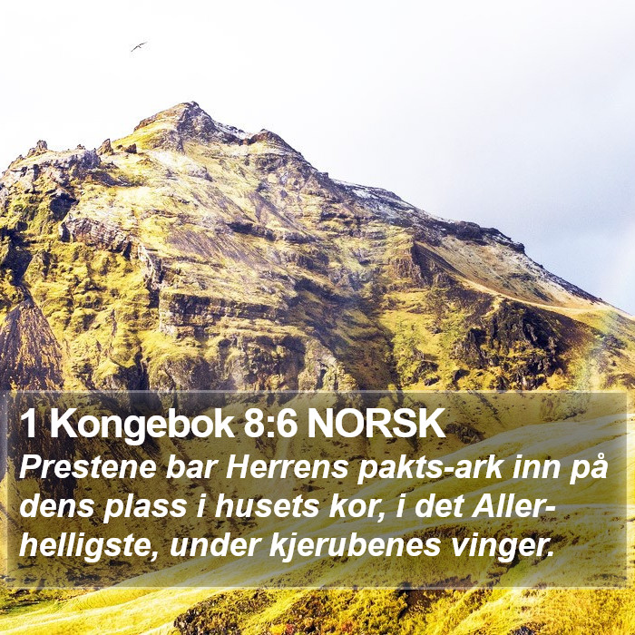 1 Kongebok 8:6 NORSK Bible Study
