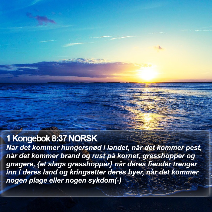 1 Kongebok 8:37 NORSK Bible Study