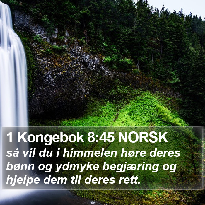 1 Kongebok 8:45 NORSK Bible Study