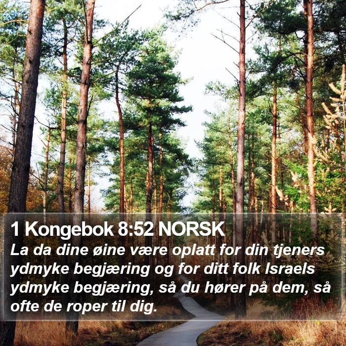 1 Kongebok 8:52 NORSK Bible Study