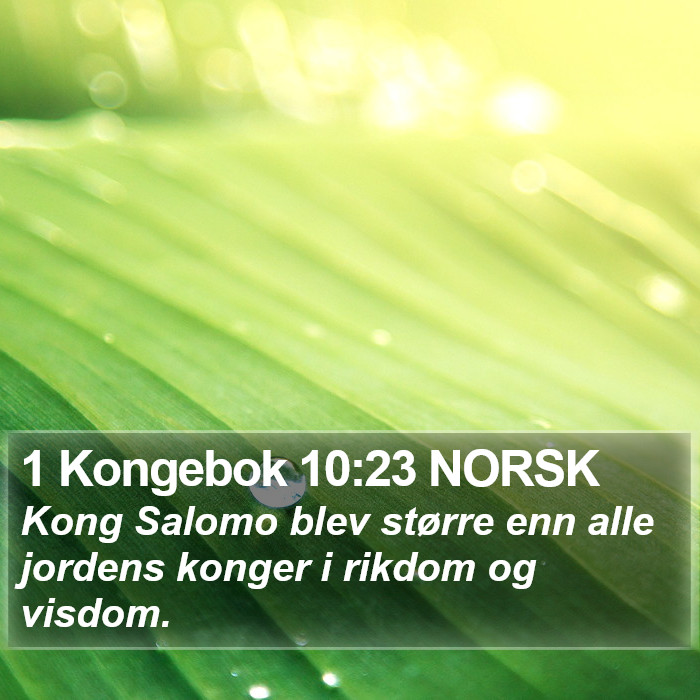 1 Kongebok 10:23 NORSK Bible Study