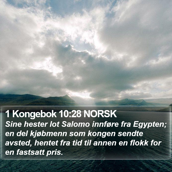 1 Kongebok 10:28 NORSK Bible Study