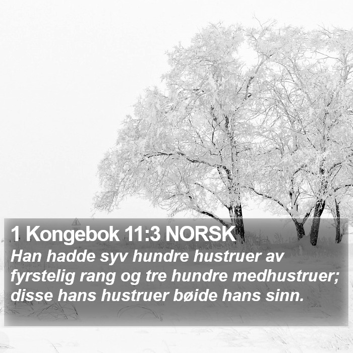 1 Kongebok 11:3 NORSK Bible Study